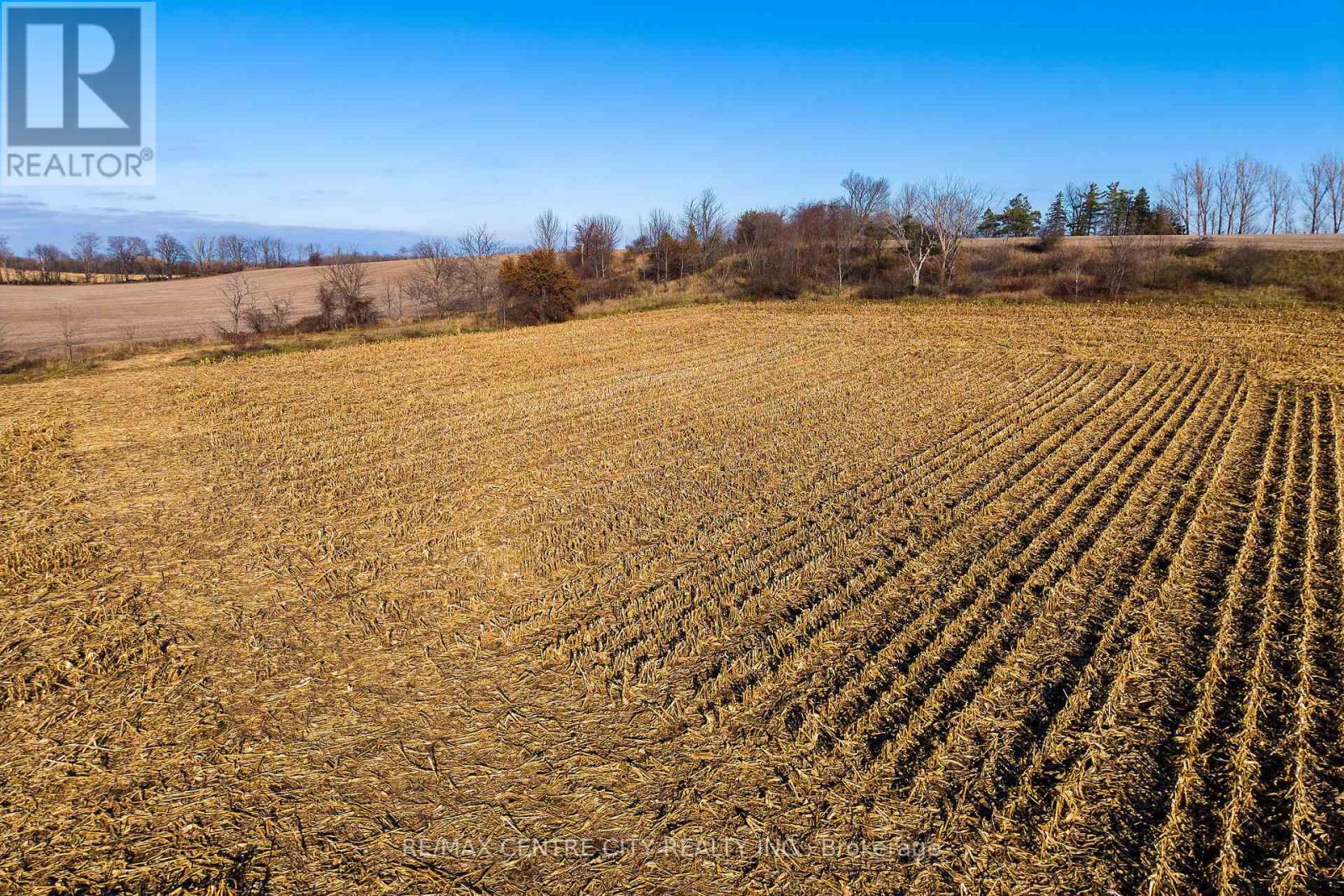 137204 Grey Road 12, Meaford, Ontario  N4L 1W6 - Photo 39 - X12603794