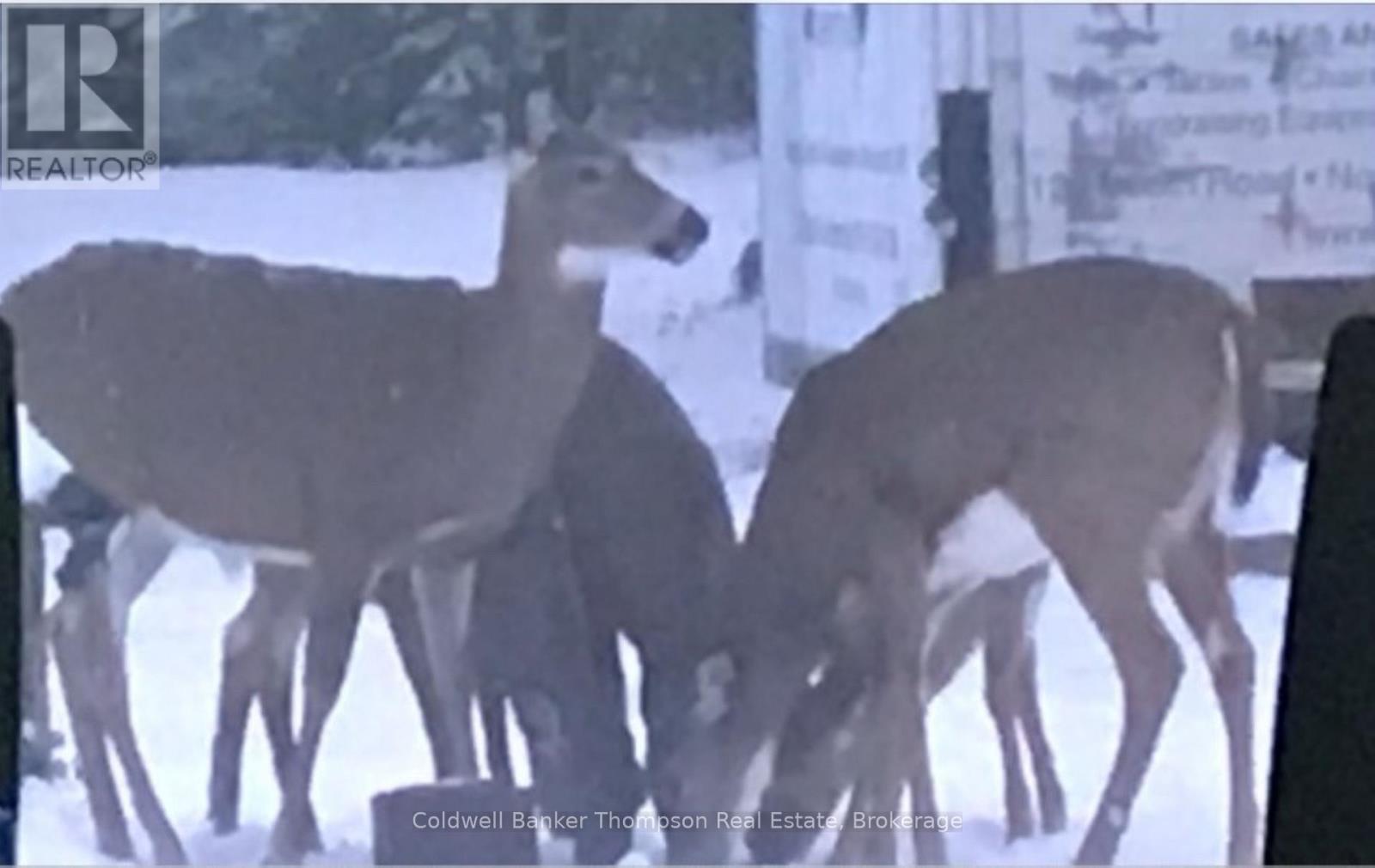 183 Sandhill Road, Joly, Ontario P0A 1Z0 - Photo 2 - X12603834