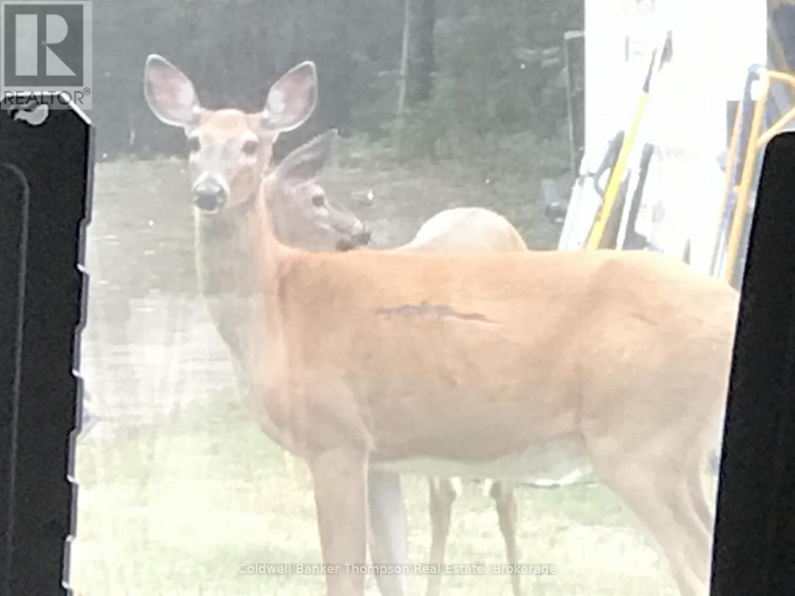183 Sandhill Road, Joly, Ontario P0A 1Z0 - Photo 43 - X12603834