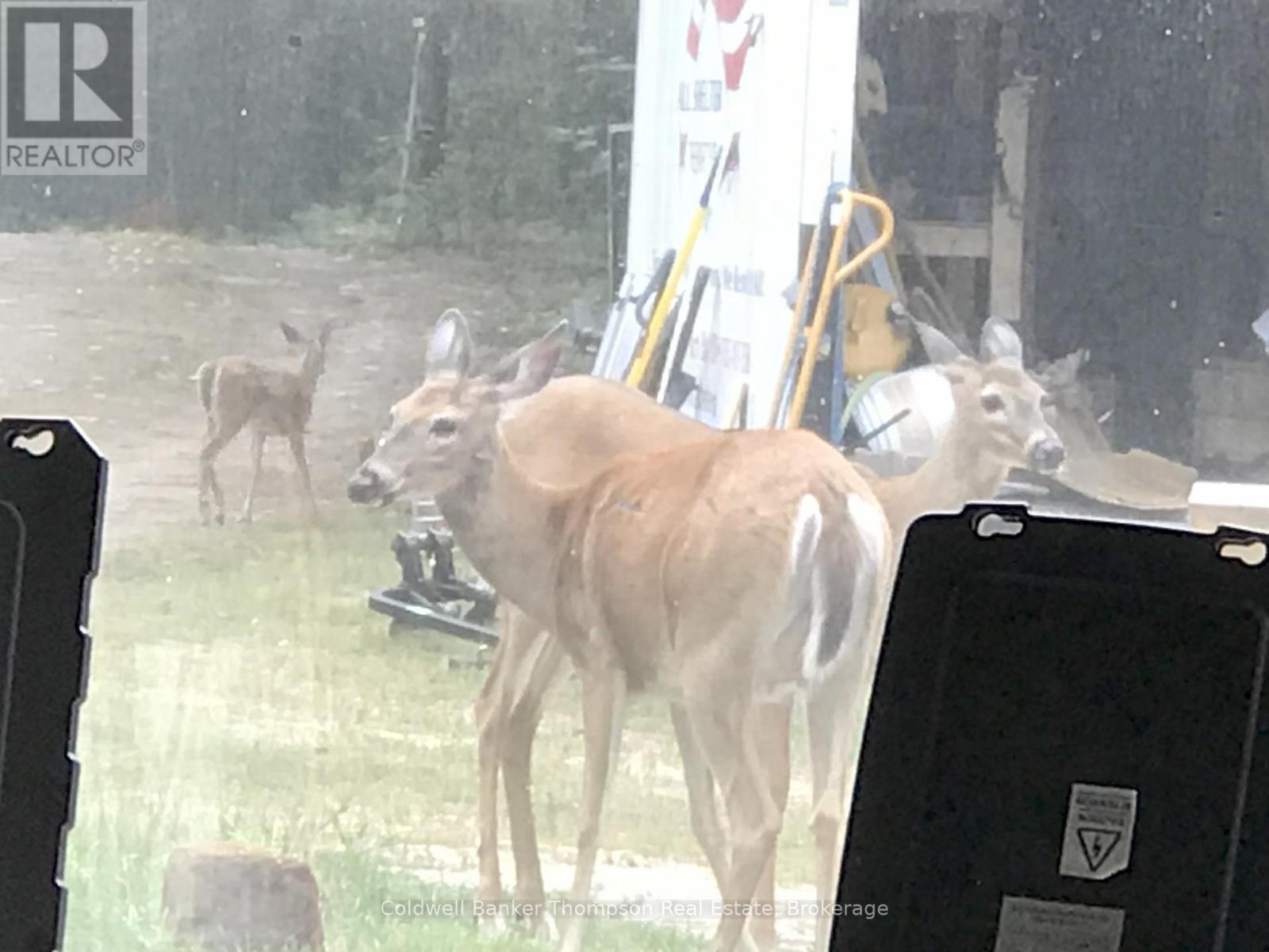 183 Sandhill Road, Joly, Ontario P0A 1Z0 - Photo 44 - X12603834