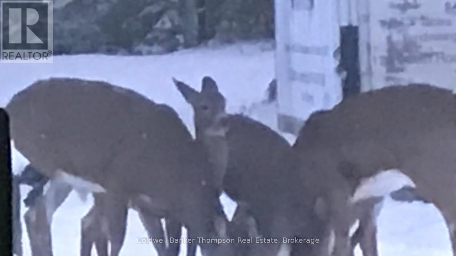 183 Sandhill Road, Joly, Ontario P0A 1Z0 - Photo 48 - X12603834