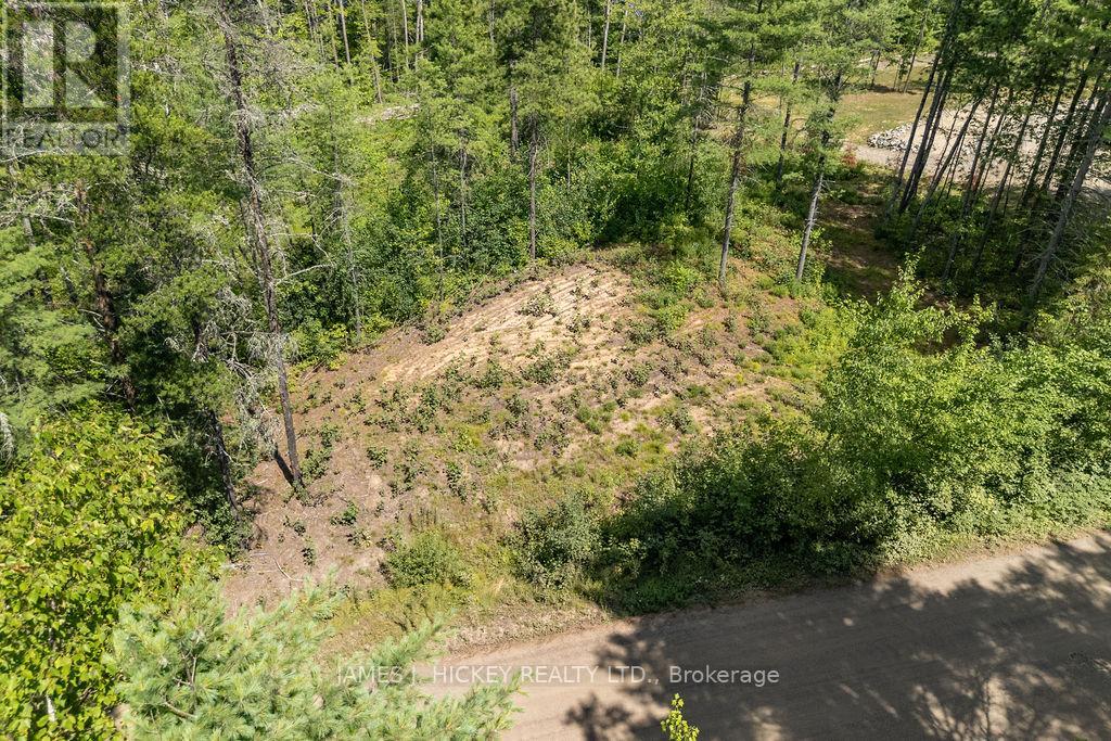 00 Mcanulty Road, Deep River, Ontario  K0J 1P0 - Photo 11 - X12603896