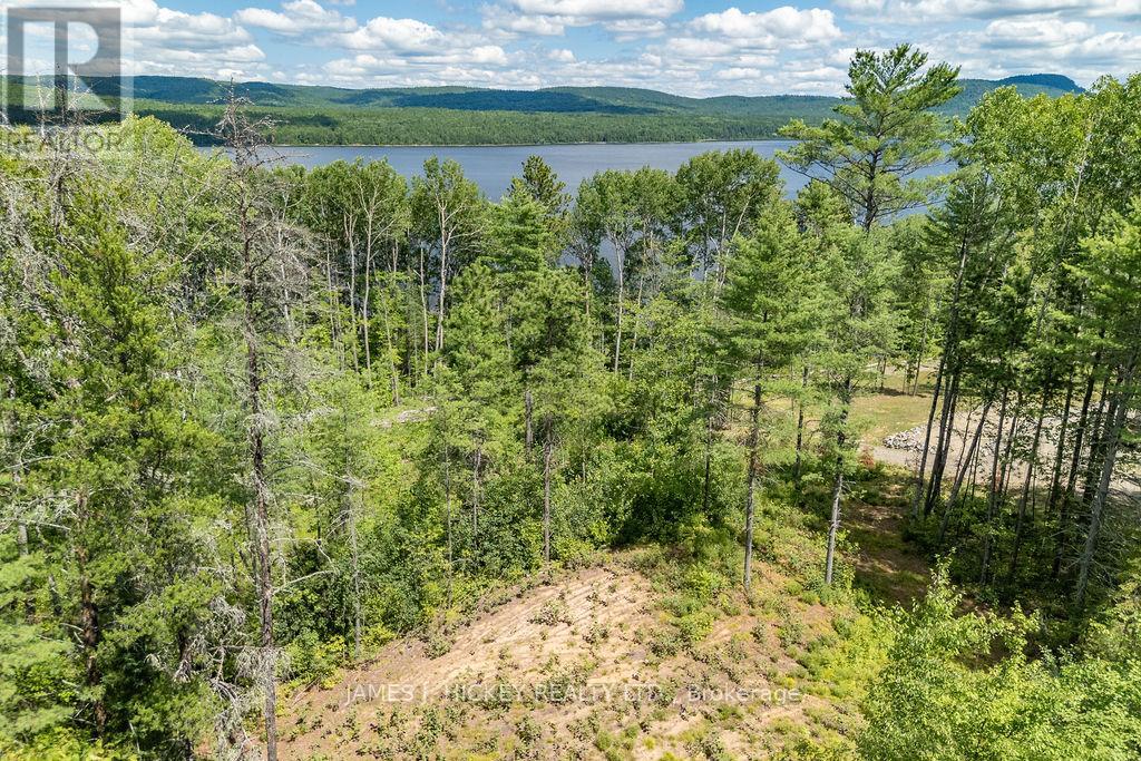 00 Mcanulty Road, Deep River, Ontario  K0J 1P0 - Photo 12 - X12603896