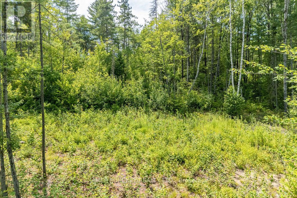 00 Mcanulty Road, Deep River, Ontario  K0J 1P0 - Photo 22 - X12603896