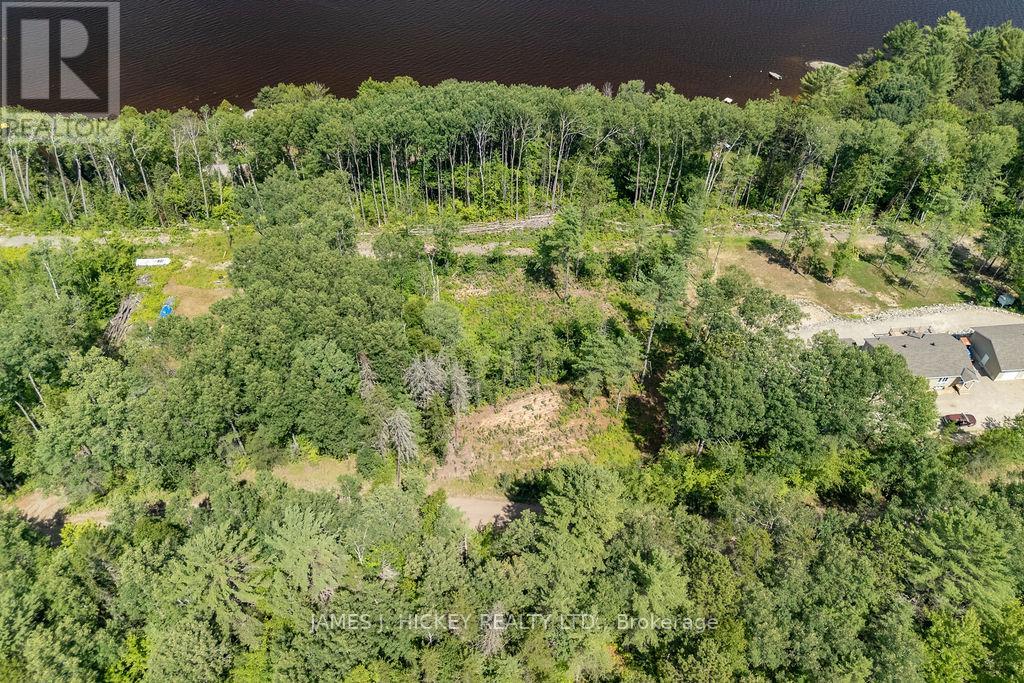 00 Mcanulty Road, Deep River, Ontario  K0J 1P0 - Photo 6 - X12603896