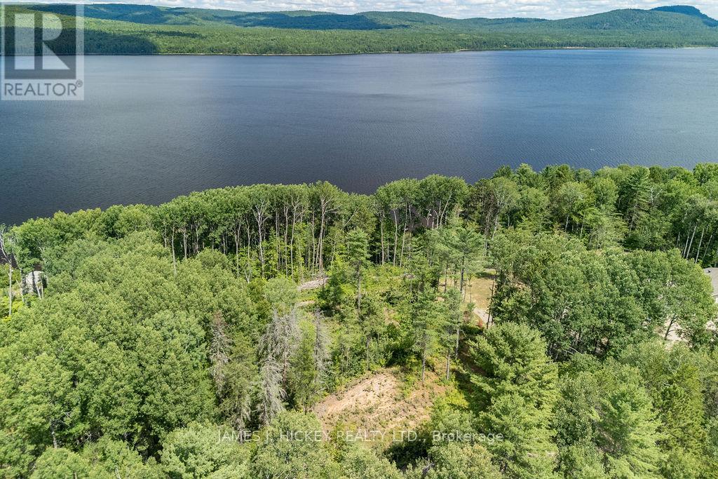 00 Mcanulty Road, Deep River, Ontario  K0J 1P0 - Photo 9 - X12603896