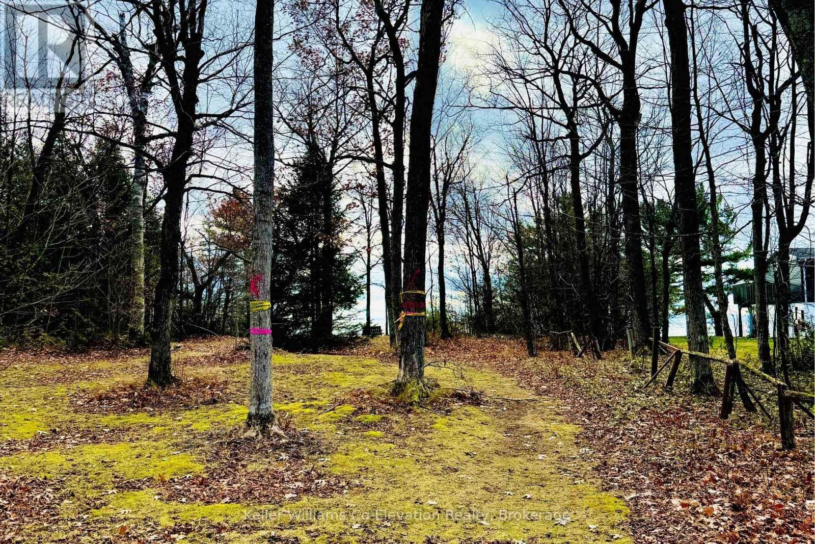 23 Crown Court, Tiny, Ontario L9M 0J1 - Photo 42 - S12595686