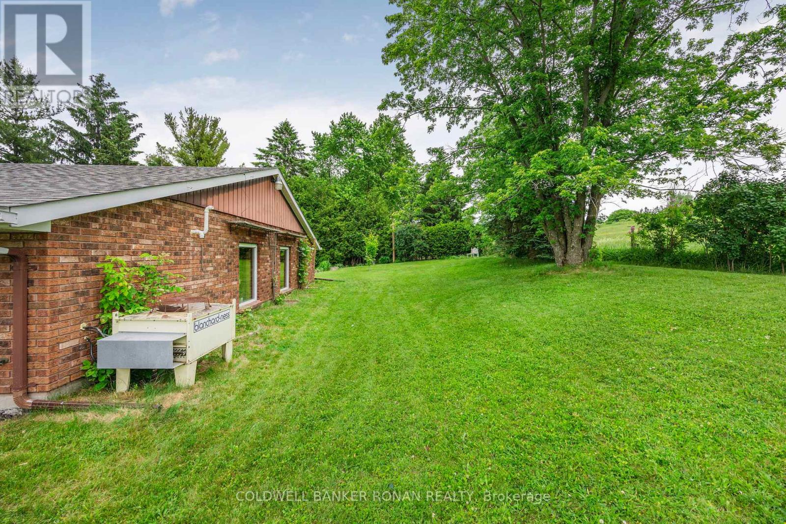 6145 3rd Line, New Tecumseth, Ontario  L0G 1W0 - Photo 39 - N12604102