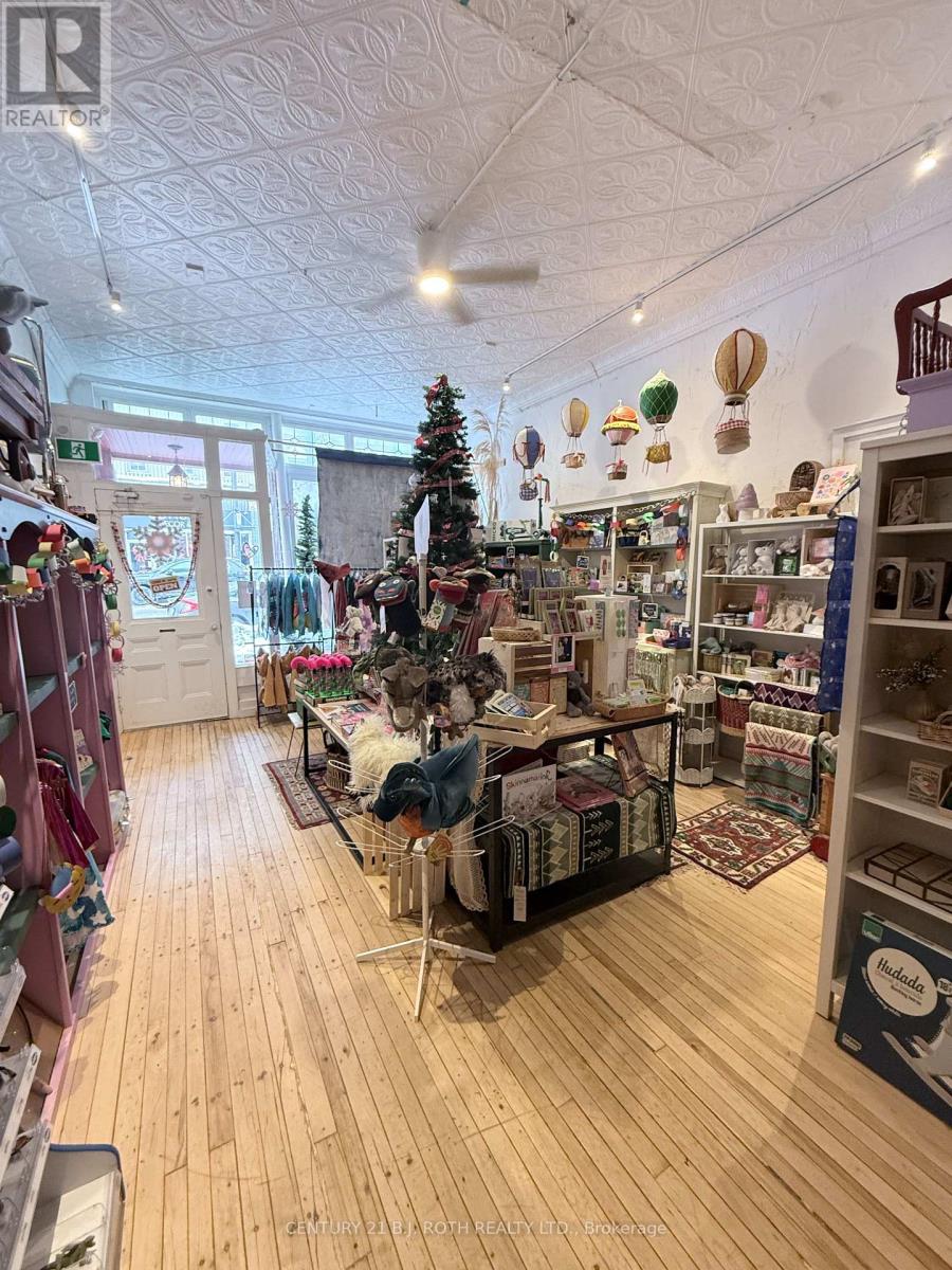 117 Dunlop Street E, Barrie, Ontario  L4M 1A6 - Photo 4 - S12603946