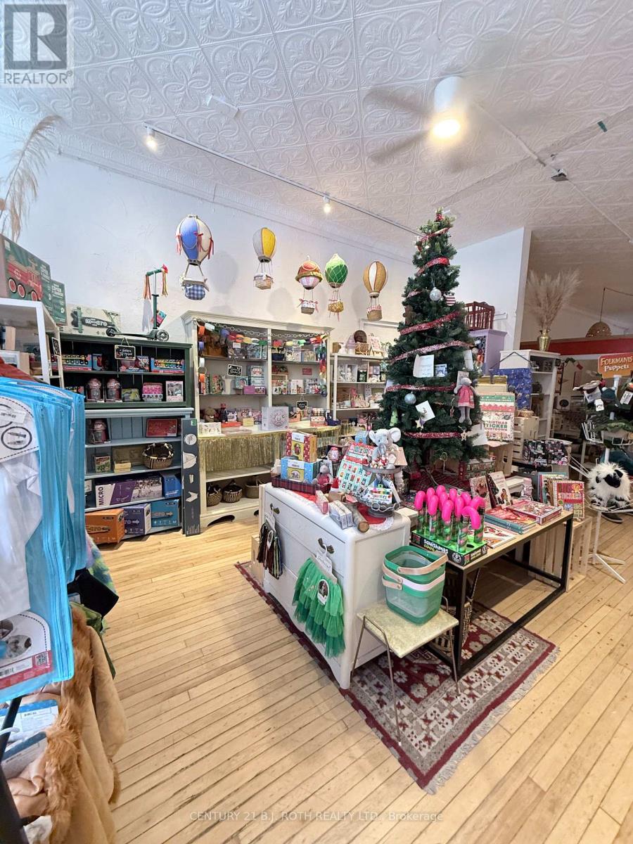 117 Dunlop Street E, Barrie, Ontario  L4M 1A6 - Photo 5 - S12603946