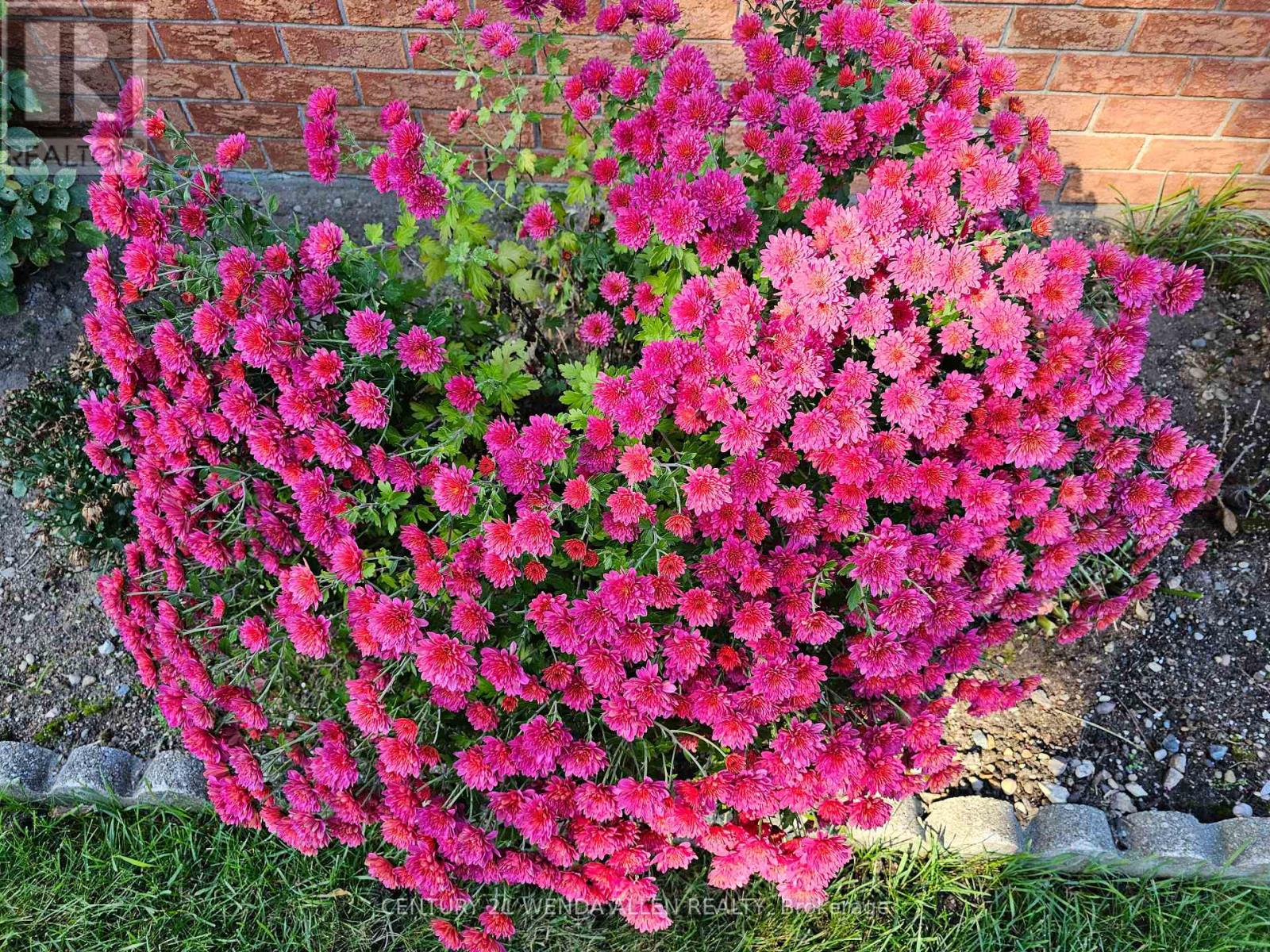 55 Penetangore Row S, Huron-Kinloss, Ontario  N2Z 2L8 - Photo 31 - X12604084