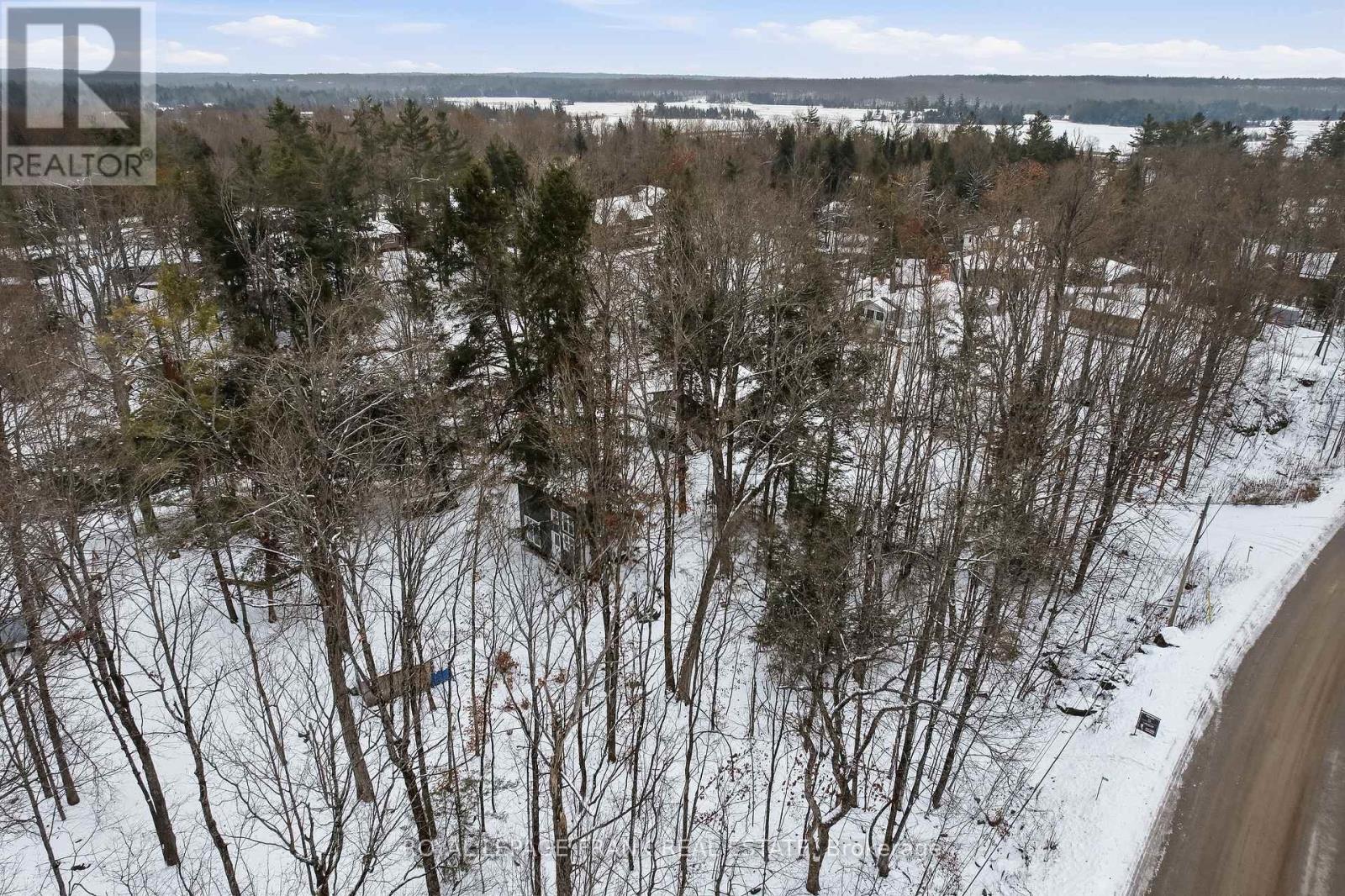 337 Kennedy Drive, Trent Lakes, Ontario  K0M 1A0 - Photo 7 - X12604140