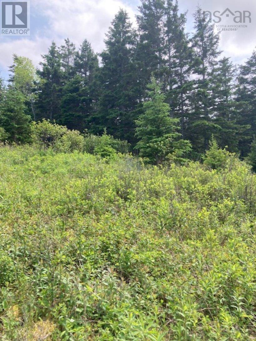 1 South Side River Bourgeois Road, River Bourgeois, Nova Scotia  B0E 2X0 - Photo 15 - 202514917