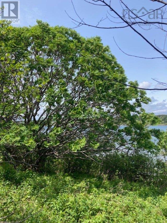 1 South Side River Bourgeois Road, River Bourgeois, Nova Scotia  B0E 2X0 - Photo 16 - 202514917