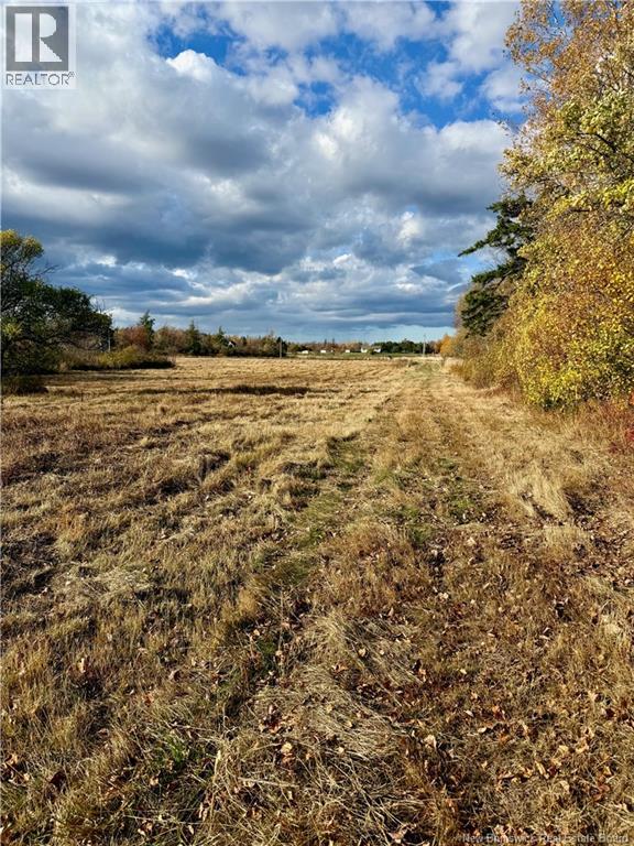 Lot Route 960, Cape Spear, New Brunswick  E4M 0C8 - Photo 13 - NB113302