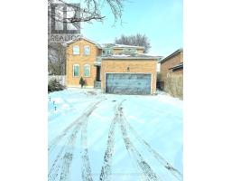 Bsmt - 97 Carrington Drive, Richmond Hill (Mill Pond), Ca
