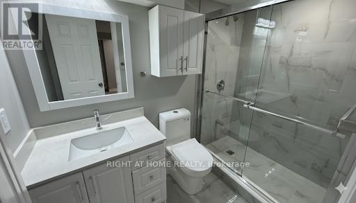 Basement - 455 Clarkson Gate, Milton, Ontario  L9E 0B7 - Photo 7 - W12592920