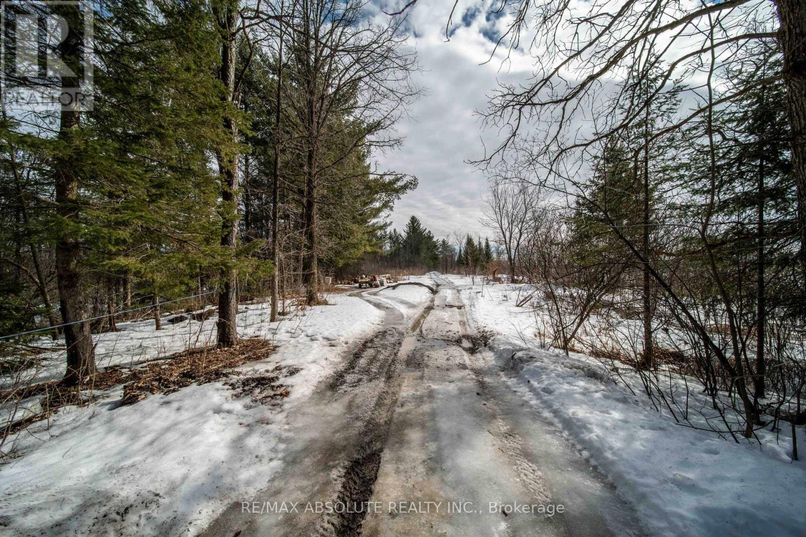 1578 David Road, Clarence-Rockland, Ontario  K4K 1K7 - Photo 29 - X12405857