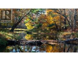 Lot Br-3 Bowers Road, Lower Ohio, Ca