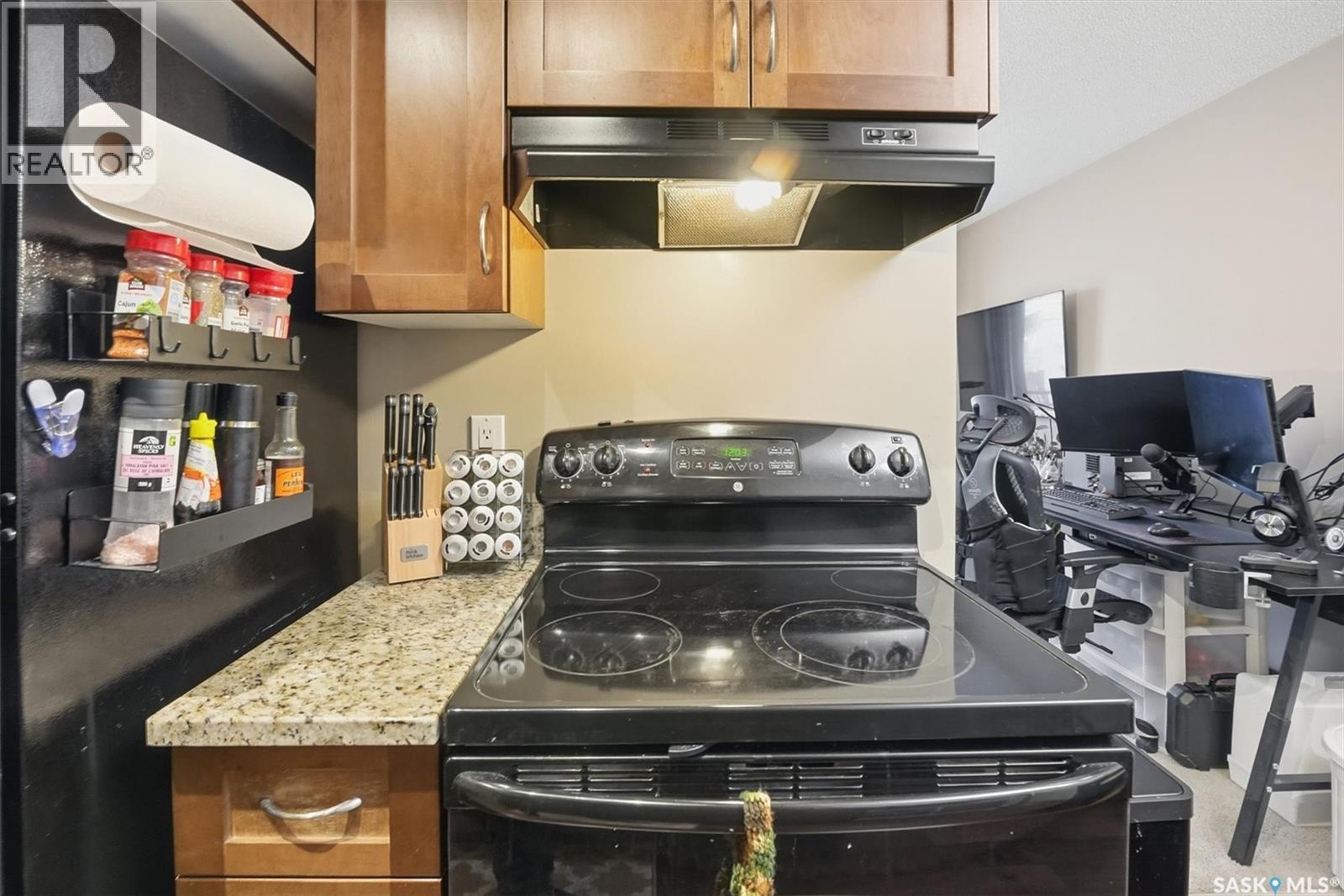 205 250 Pinehouse Place, Saskatoon, Saskatchewan  S7K 4X1 - Photo 6 - SK025150