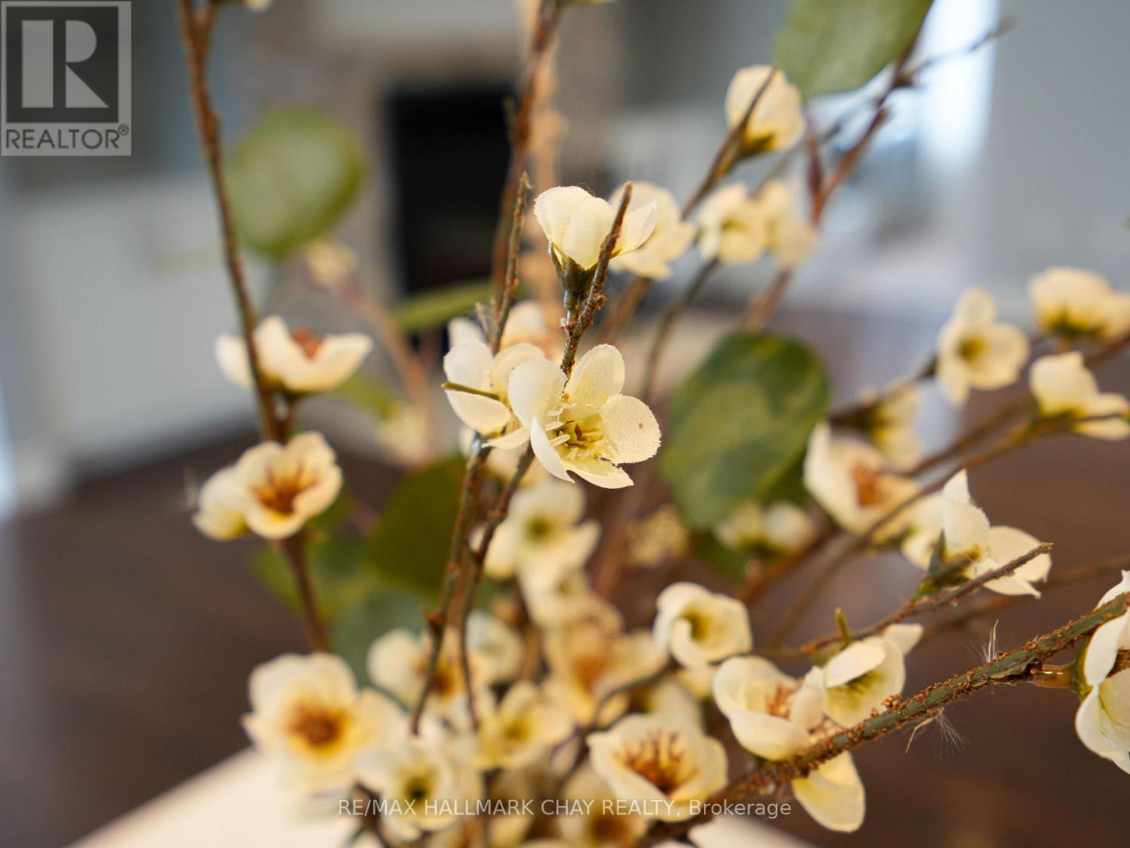 2545 County Rd 50, Adjala-Tosorontio, Ontario  L0G 1L0 - Photo 11 - N12604536