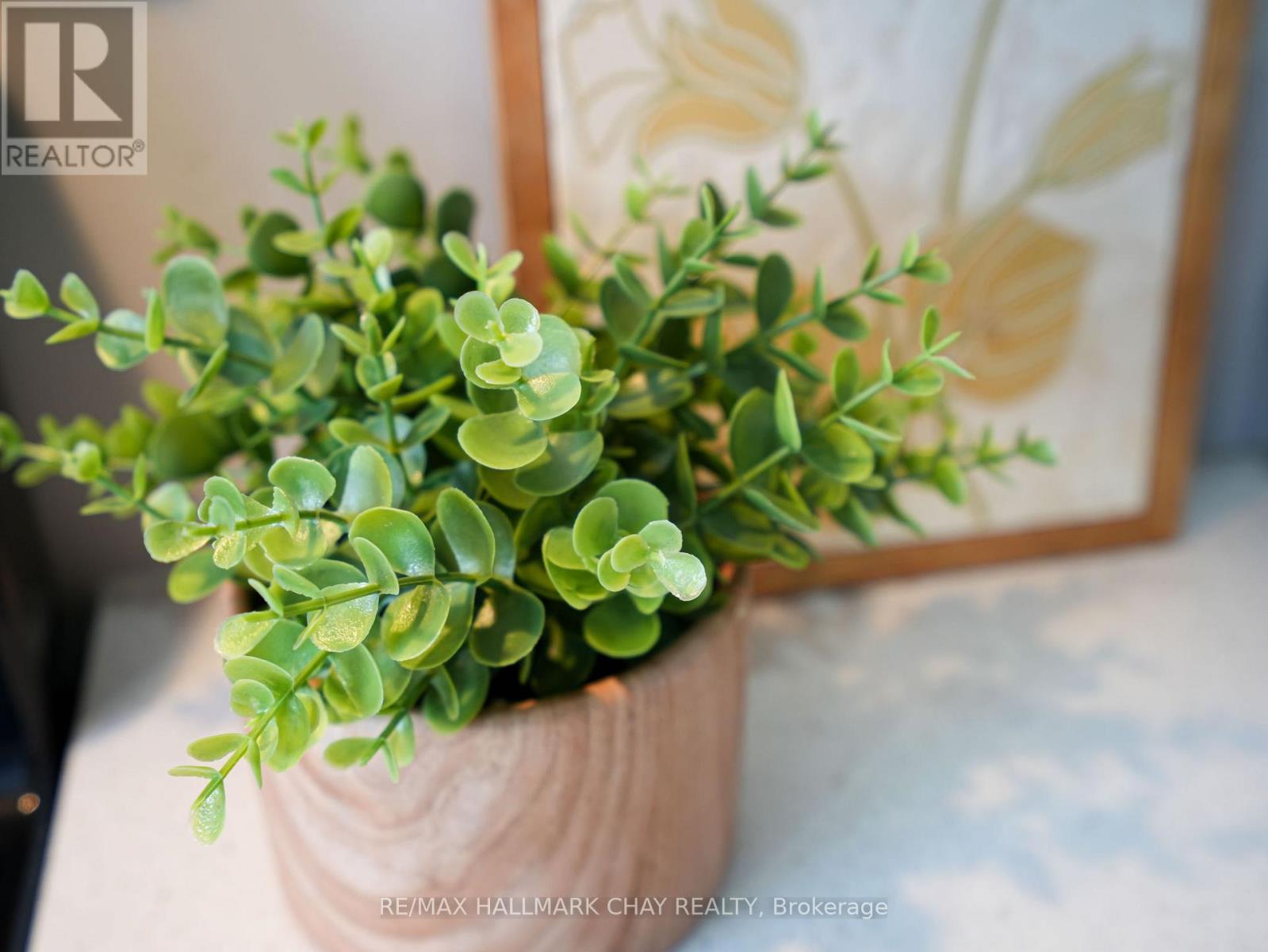 2545 County Rd 50, Adjala-Tosorontio, Ontario  L0G 1L0 - Photo 31 - N12604536