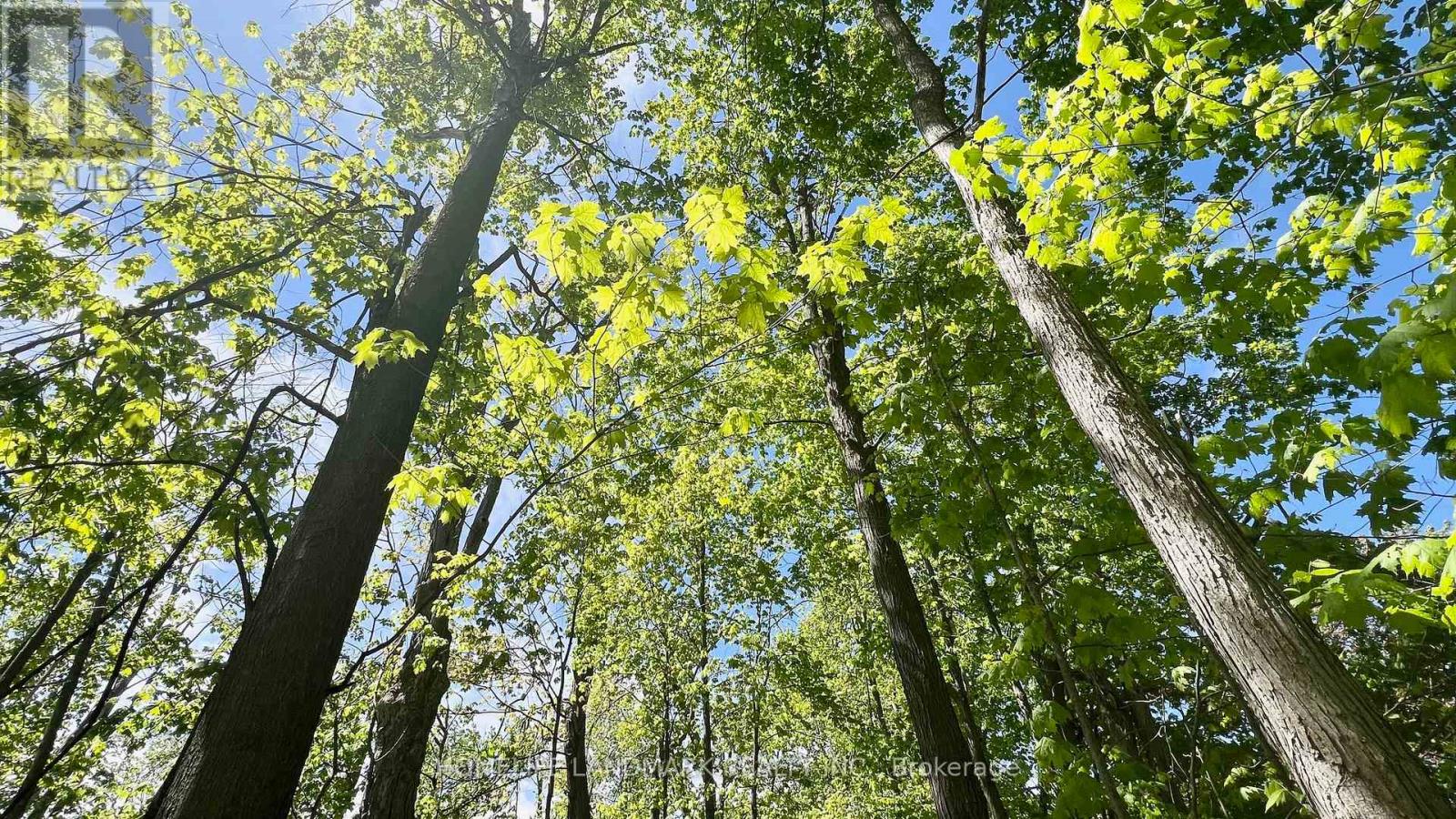 688 7th Line S, Oro-Medonte, Ontario  L0L 2E0 - Photo 36 - S12604282