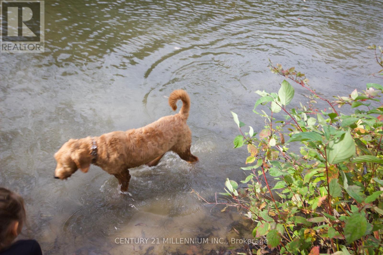 11 Knox Road E, Wasaga Beach, Ontario  L9Z 2T6 - Photo 10 - S12604540