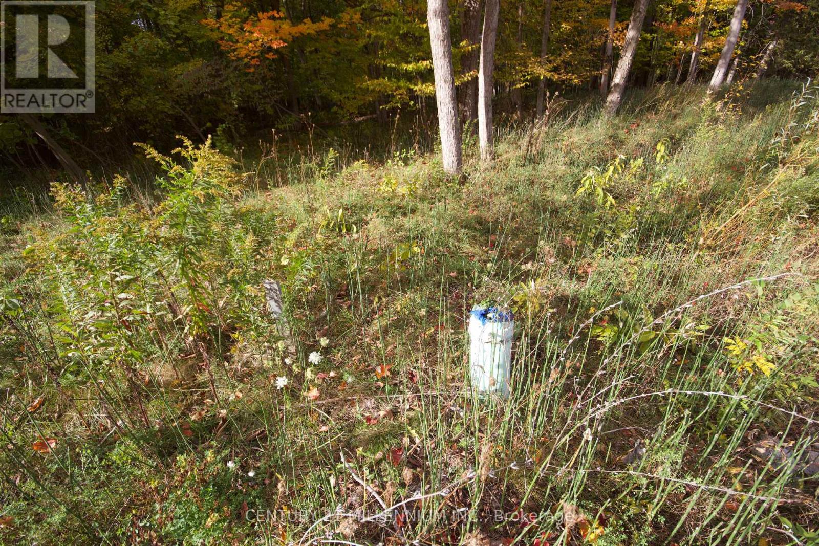 11 Knox Road E, Wasaga Beach, Ontario  L9Z 2T6 - Photo 13 - S12604540