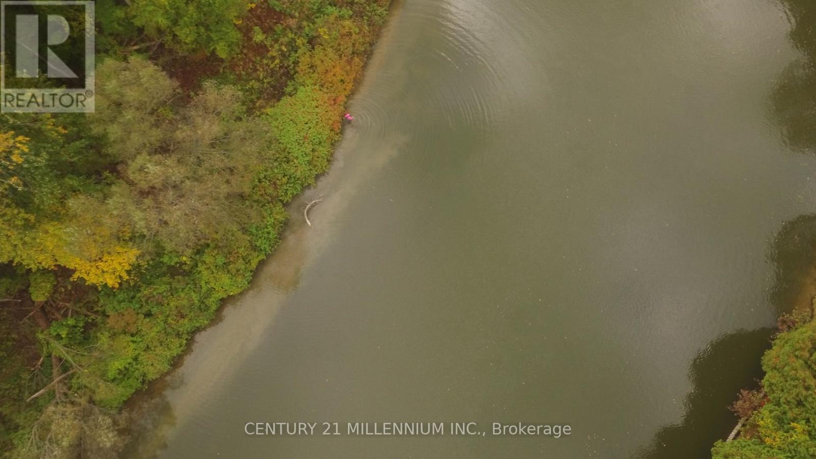 11 Knox Road E, Wasaga Beach, Ontario  L9Z 2T6 - Photo 14 - S12604540