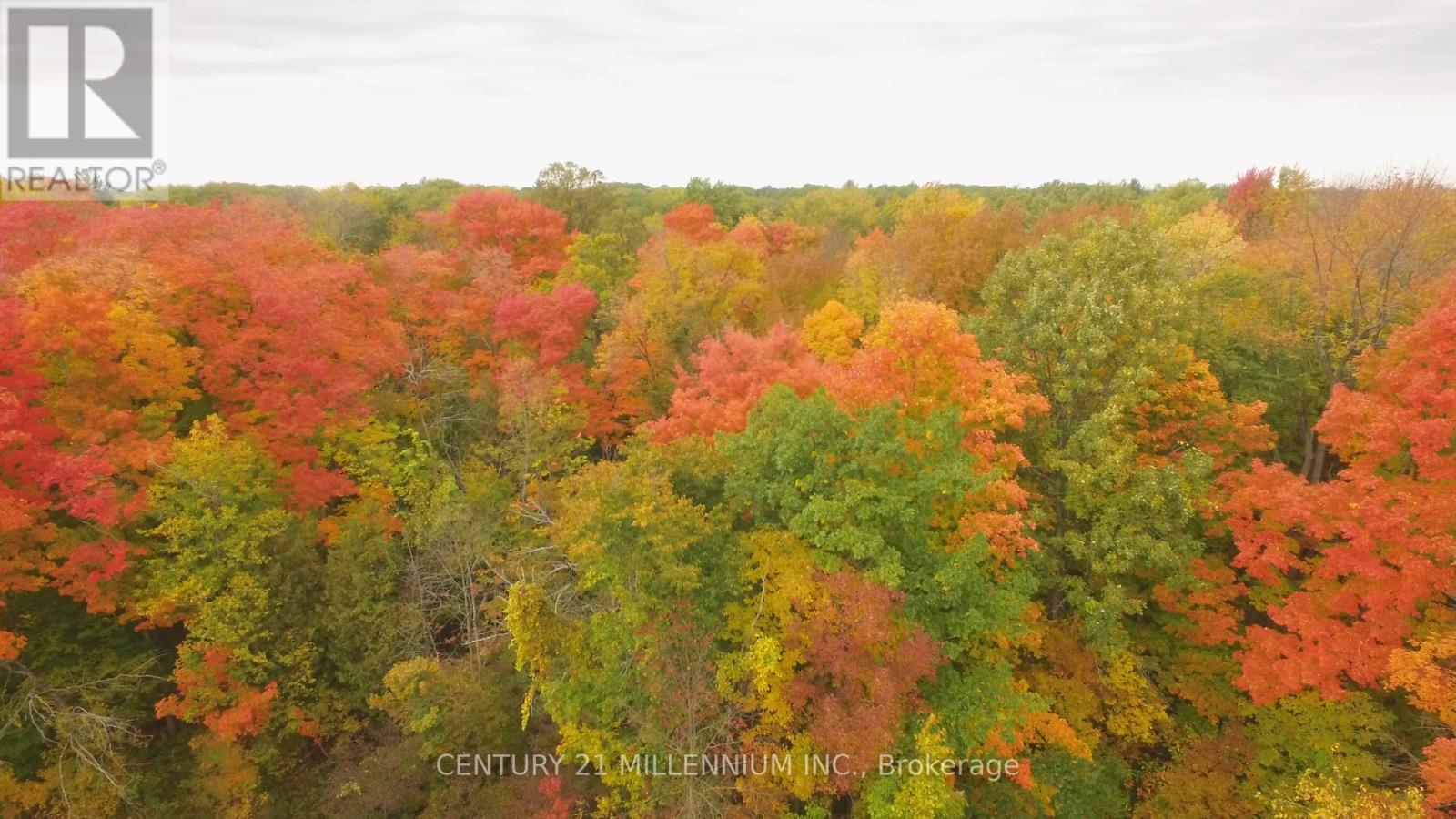 11 Knox Road E, Wasaga Beach, Ontario  L9Z 2T6 - Photo 16 - S12604540