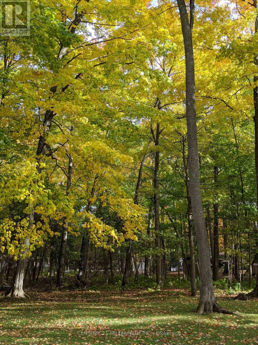 11 Knox Road E, Wasaga Beach, Ontario  L9Z 2T6 - Photo 18 - S12604540