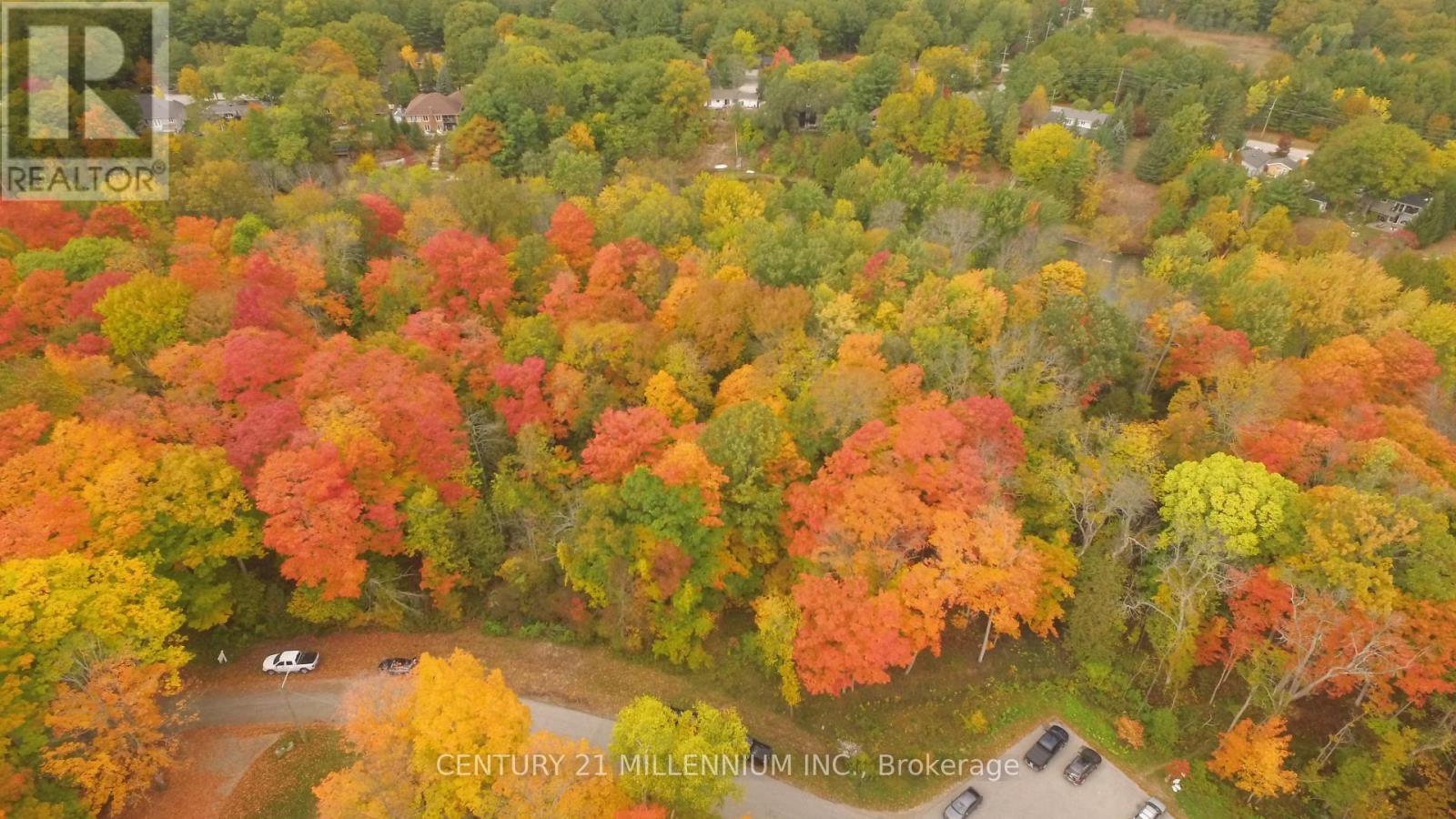 11 Knox Road E, Wasaga Beach, Ontario  L9Z 2T6 - Photo 20 - S12604540