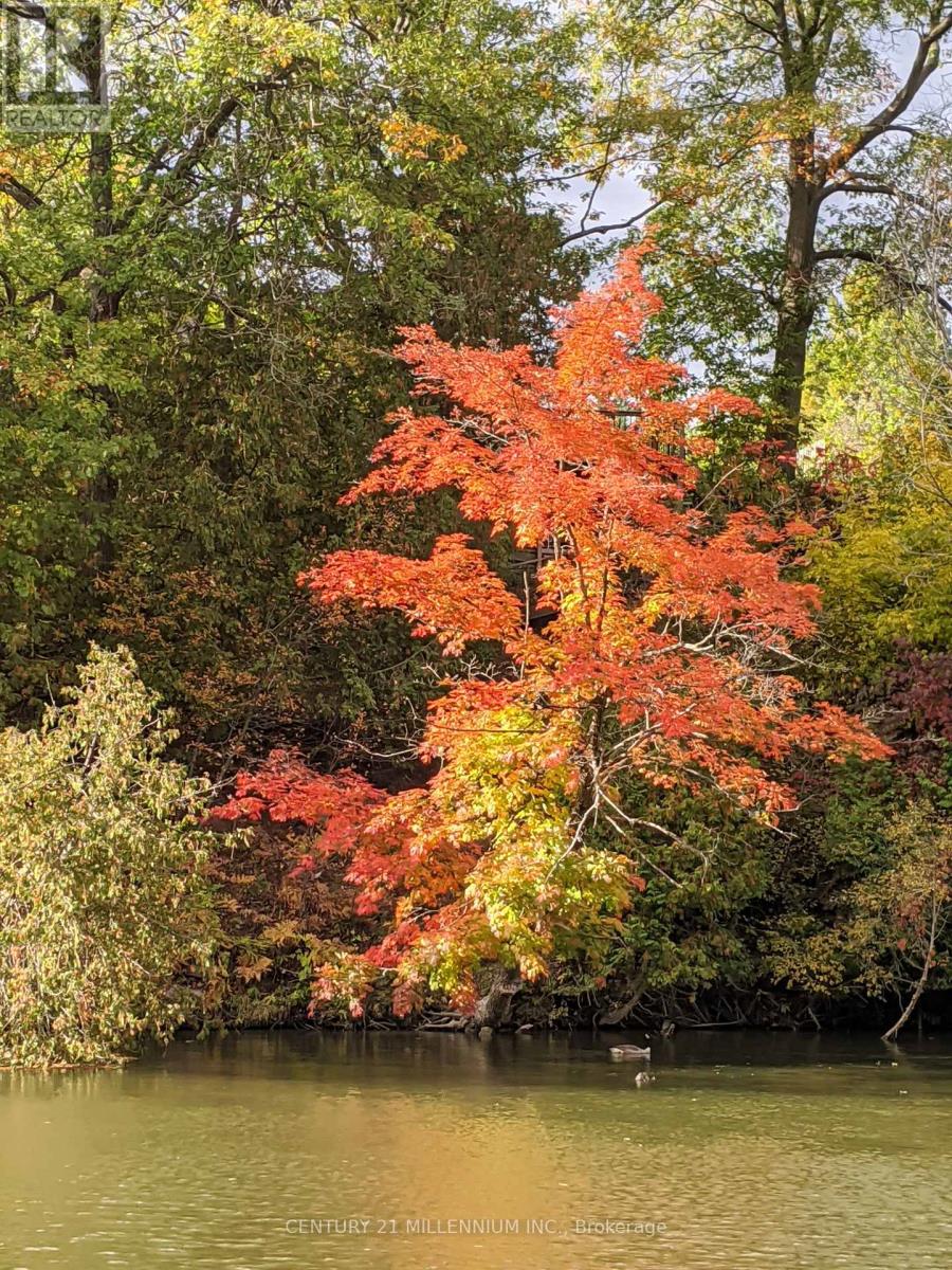 11 Knox Road E, Wasaga Beach, Ontario  L9Z 2T6 - Photo 21 - S12604540