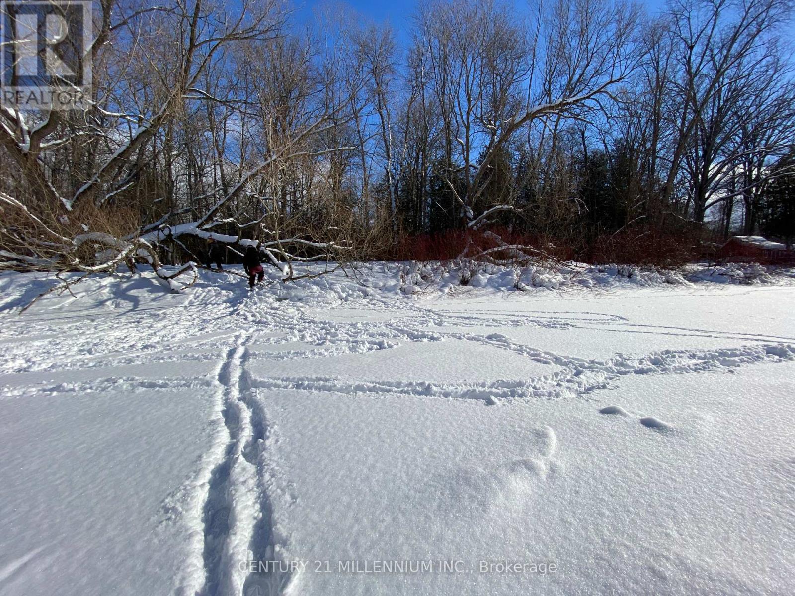 11 Knox Road E, Wasaga Beach, Ontario  L9Z 2T6 - Photo 23 - S12604540