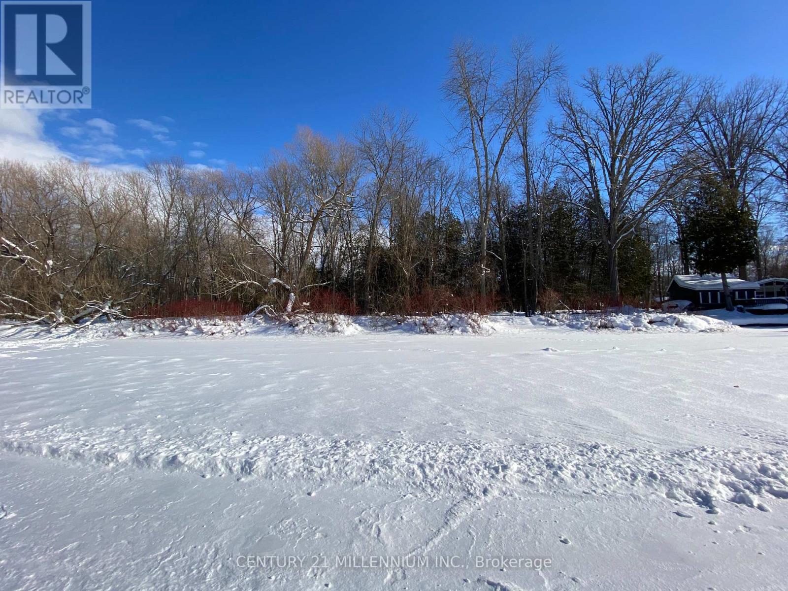 11 Knox Road E, Wasaga Beach, Ontario  L9Z 2T6 - Photo 27 - S12604540