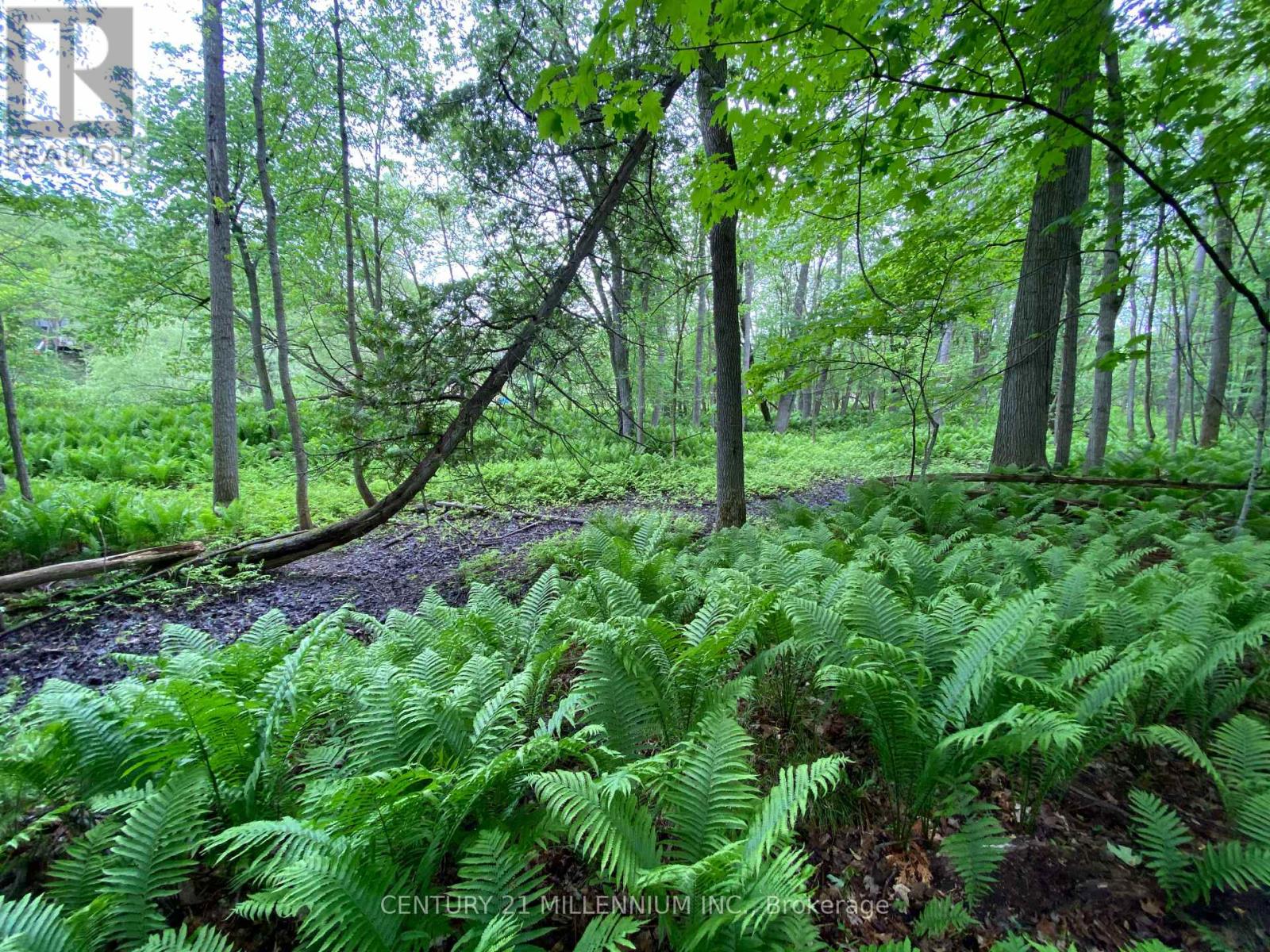 11 Knox Road E, Wasaga Beach, Ontario  L9Z 2T6 - Photo 28 - S12604540