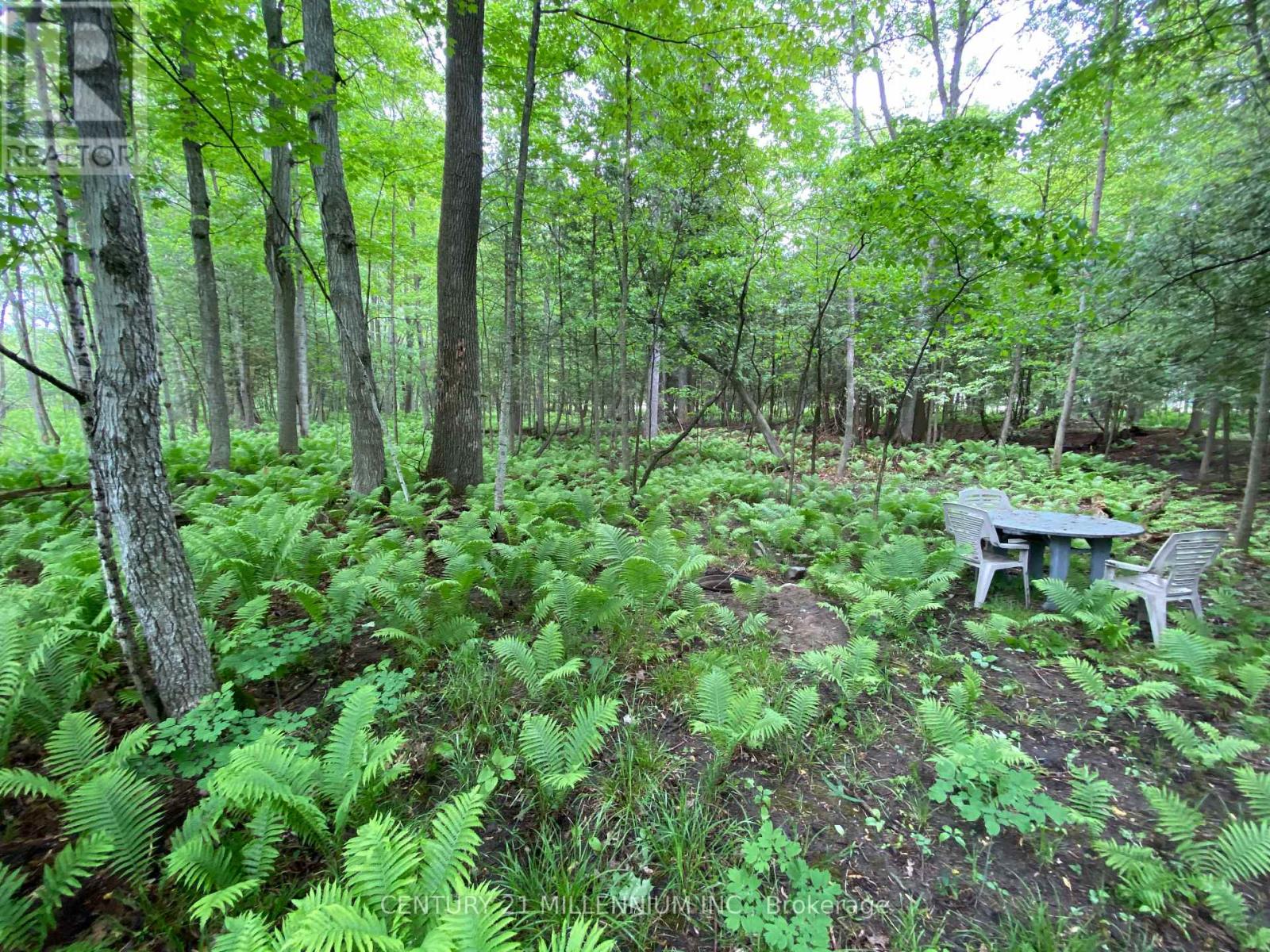 11 Knox Road E, Wasaga Beach, Ontario  L9Z 2T6 - Photo 30 - S12604540