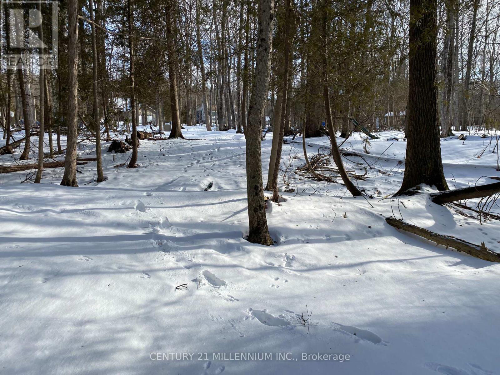 11 Knox Road E, Wasaga Beach, Ontario  L9Z 2T6 - Photo 34 - S12604540