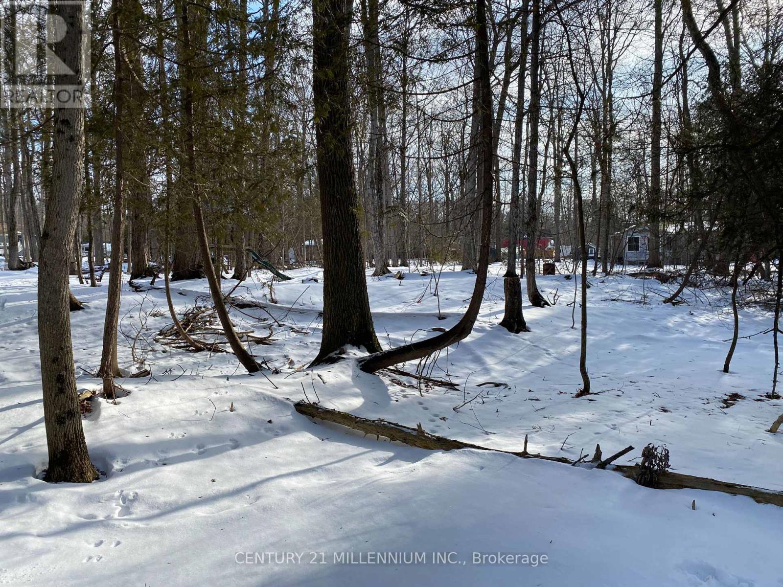 11 Knox Road E, Wasaga Beach, Ontario  L9Z 2T6 - Photo 36 - S12604540