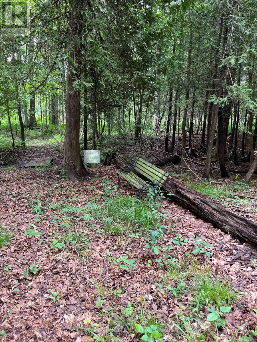 11 Knox Road E, Wasaga Beach, Ontario  L9Z 2T6 - Photo 40 - S12604540