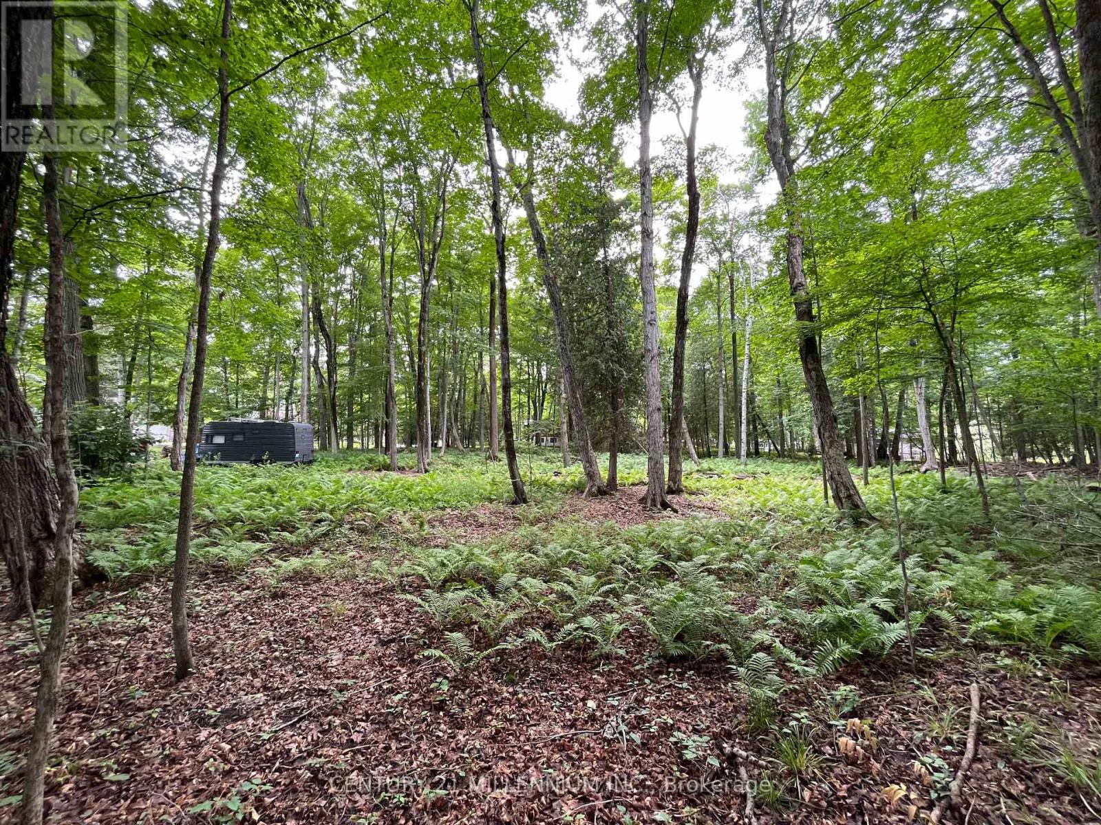 11 Knox Road E, Wasaga Beach, Ontario  L9Z 2T6 - Photo 42 - S12604540