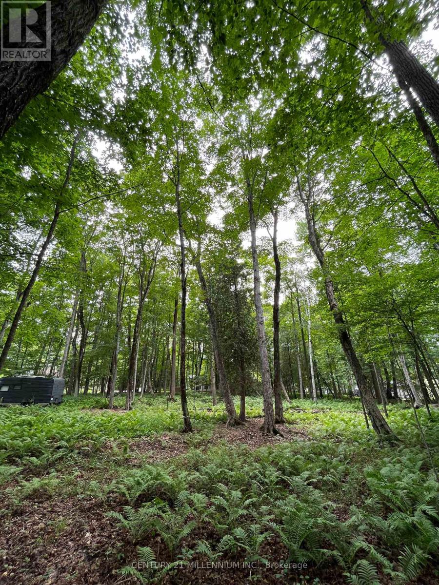 11 Knox Road E, Wasaga Beach, Ontario  L9Z 2T6 - Photo 43 - S12604540