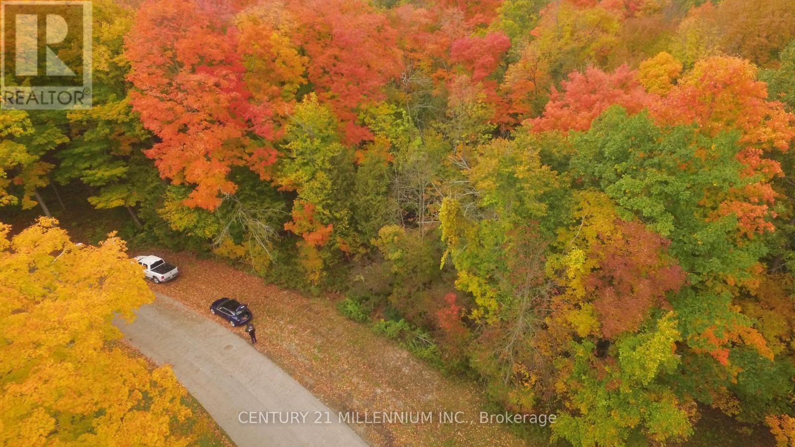 11 Knox Road E, Wasaga Beach, Ontario  L9Z 2T6 - Photo 8 - S12604540