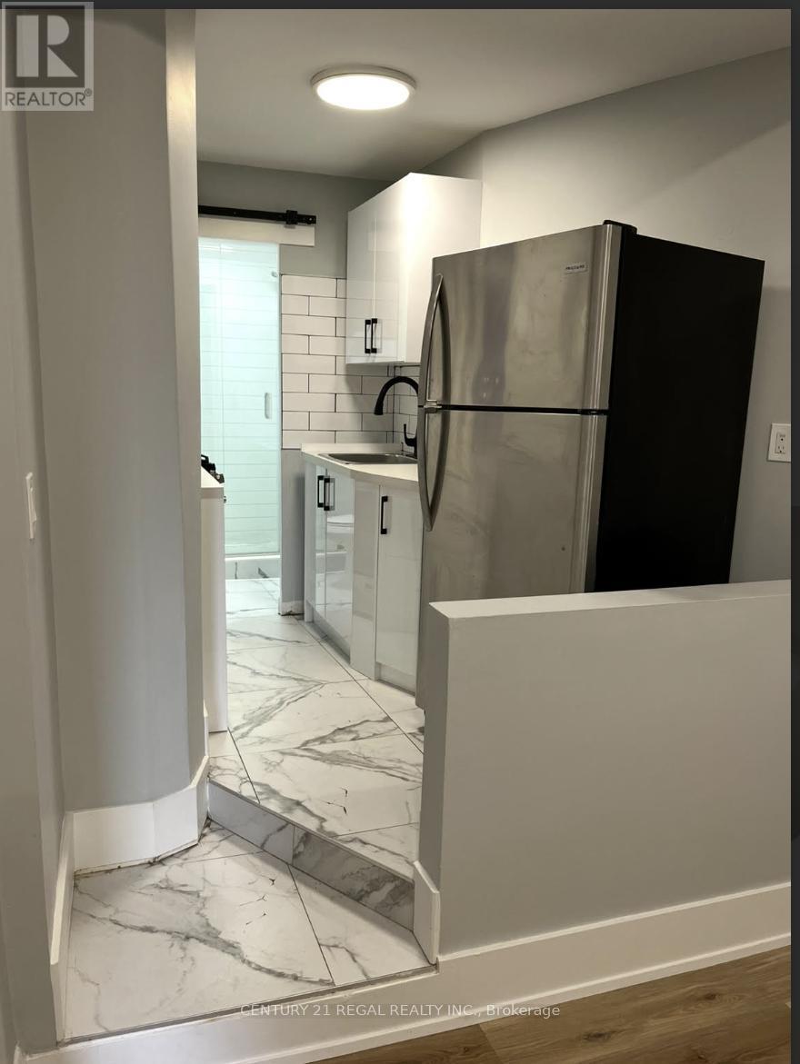 3b - 1502 King Street W, Toronto, Ontario  M6K 1J5 - Photo 5 - W12604324