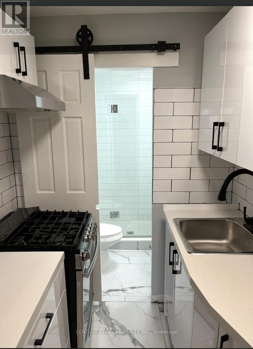 3b - 1502 King Street W, Toronto, Ontario  M6K 1J5 - Photo 6 - W12604324