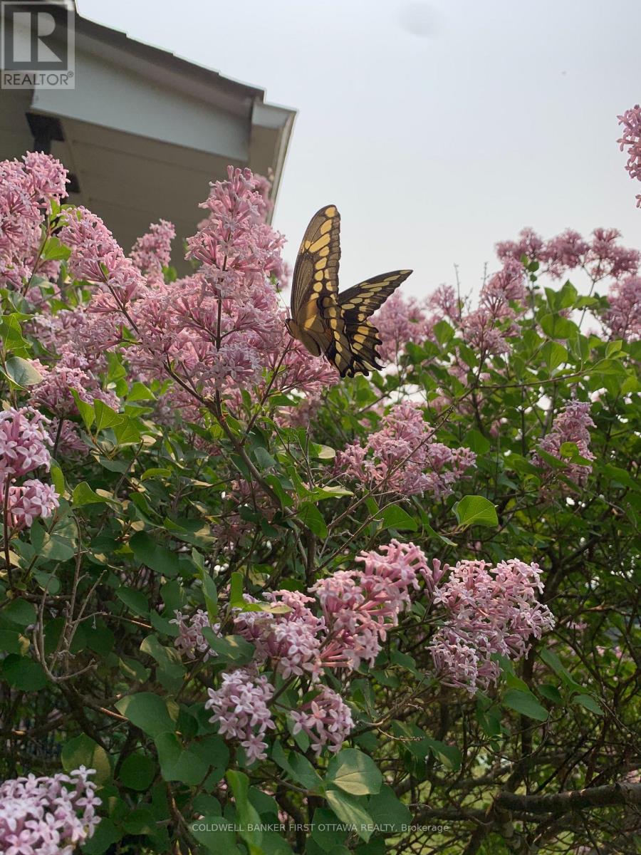 1053 Mitchell Road, Lanark Highlands, Ontario  K0G 1K0 - Photo 8 - X12487084