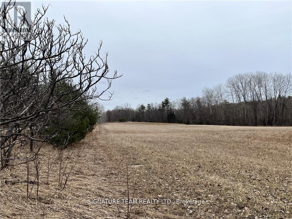 0 Grant Settlement Road, Whitewater Region, Ontario  K0J 1V0 - Photo 10 - X12604654