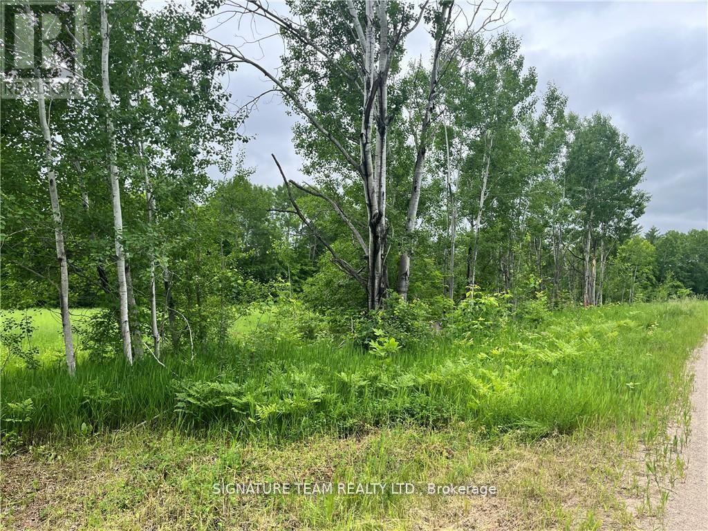 0 Grant Settlement Road, Whitewater Region, Ontario  K0J 1V0 - Photo 5 - X12604654