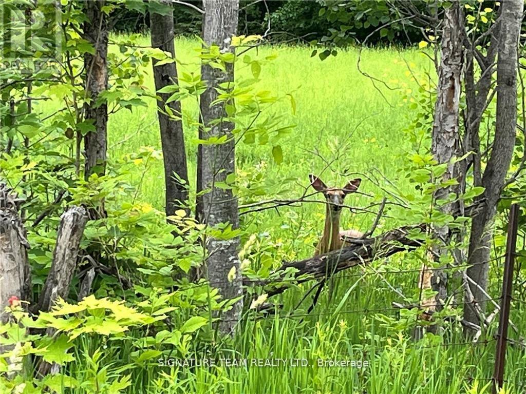 0 Grant Settlement Road, Whitewater Region, Ontario  K0J 1V0 - Photo 6 - X12604654